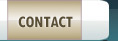 Contact Des Taylor