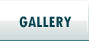 Des Taylor Angling Image Gallery